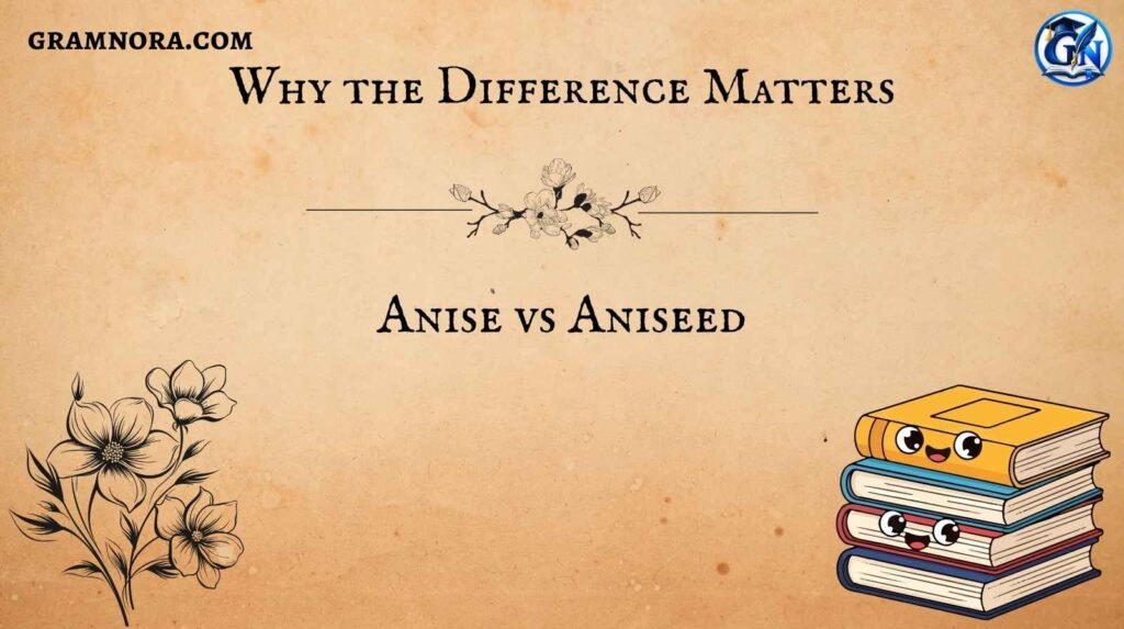 Anise vs Aniseed
