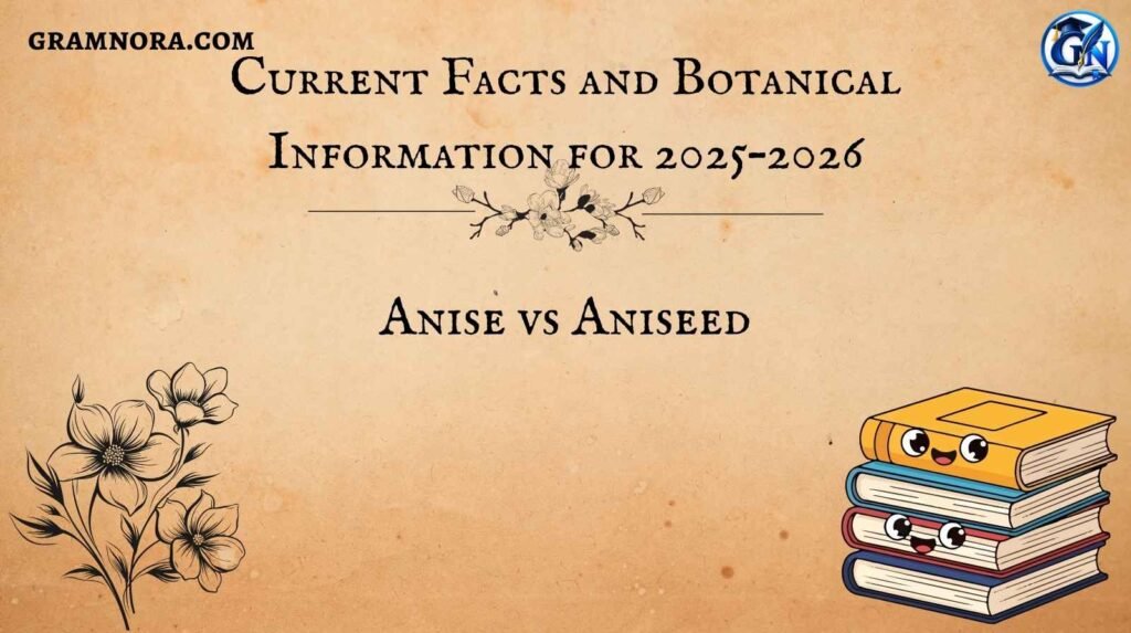 Anise vs Aniseed