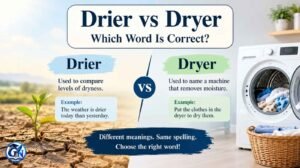 Drier vs Dryer